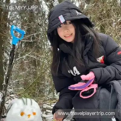 管如韦